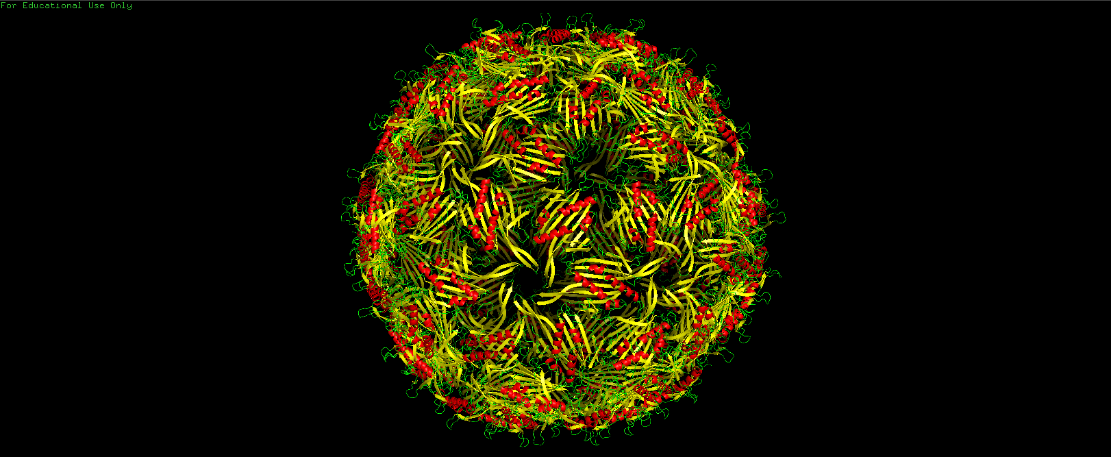 Armored Phage: A Thermostable MS2 Phage Proposal | Djoser Genomics