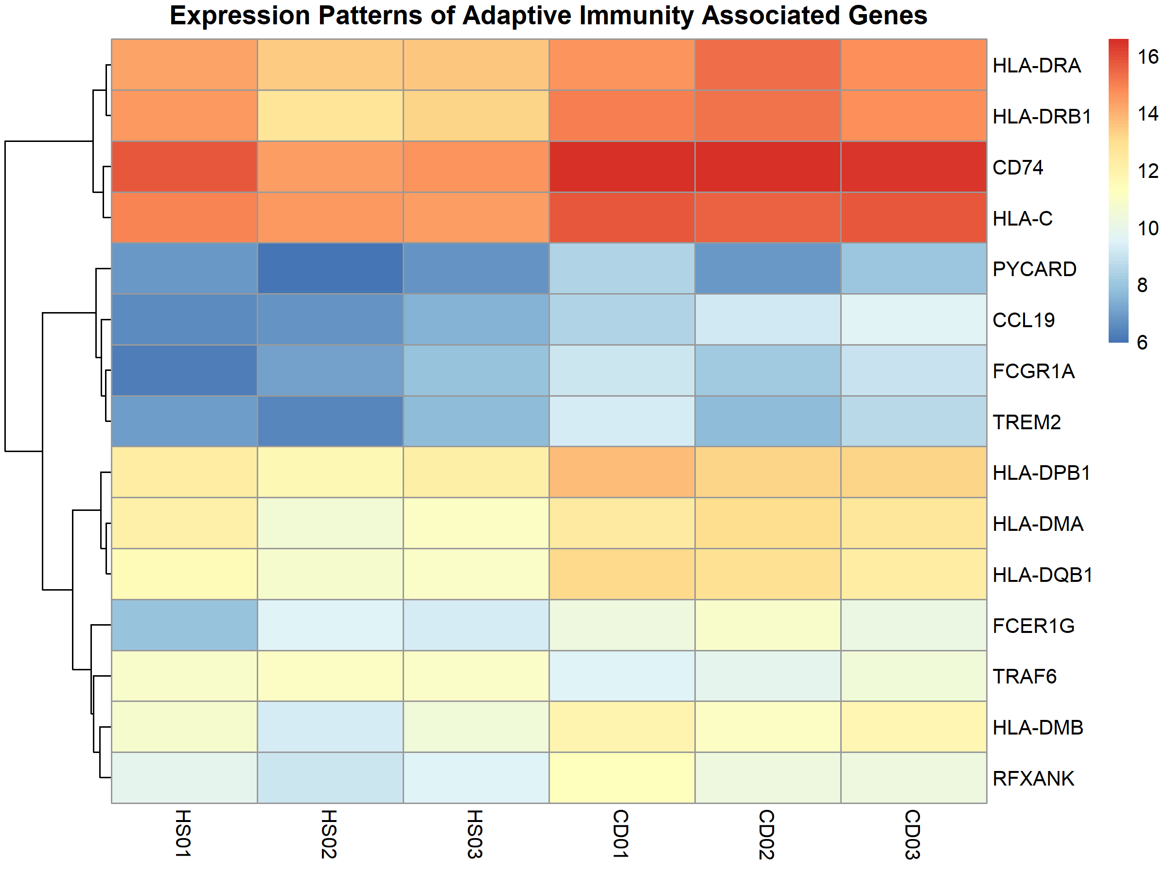 Adaptive Immunity Heatmap