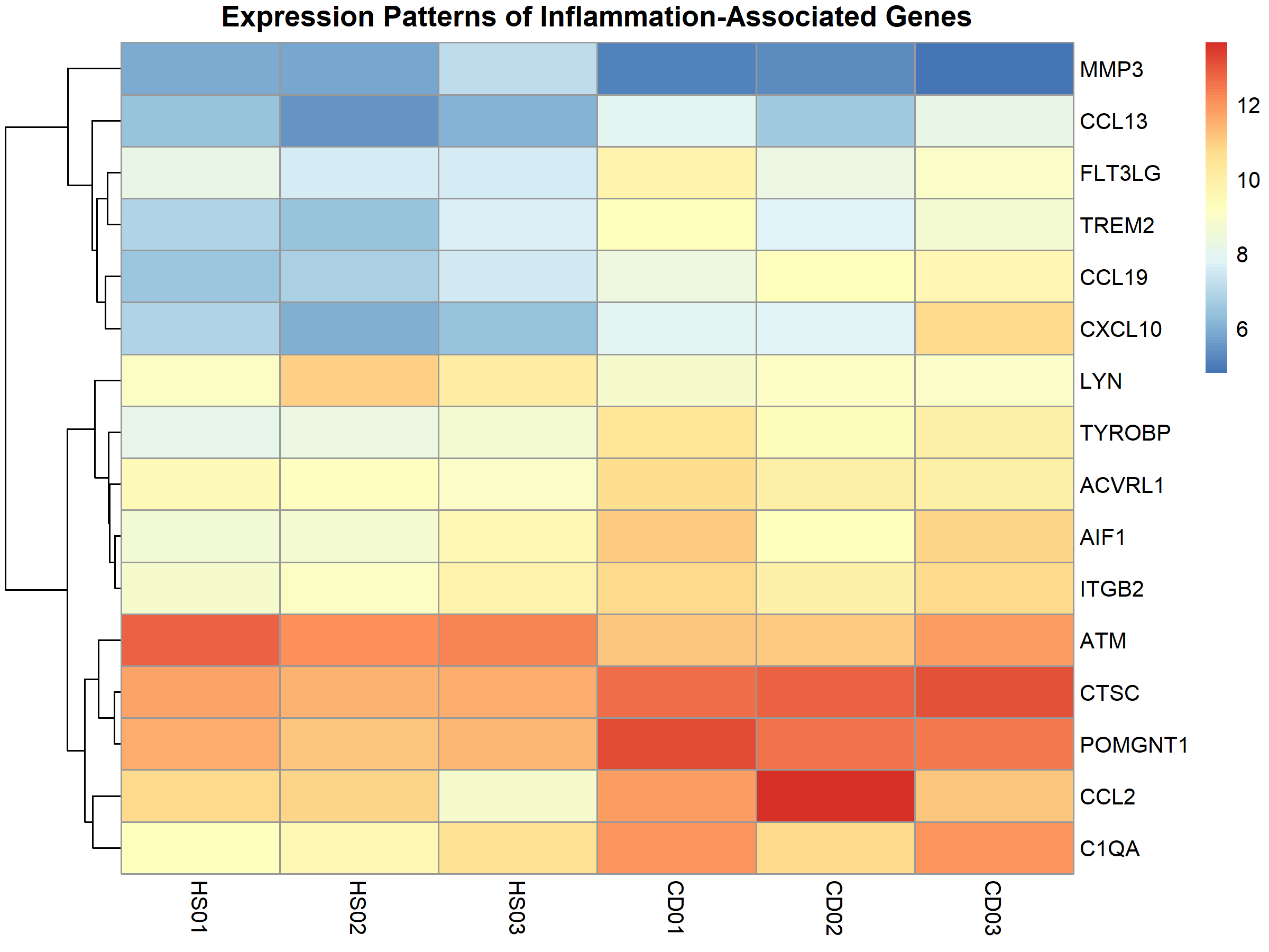 Inflammatory Heatmap