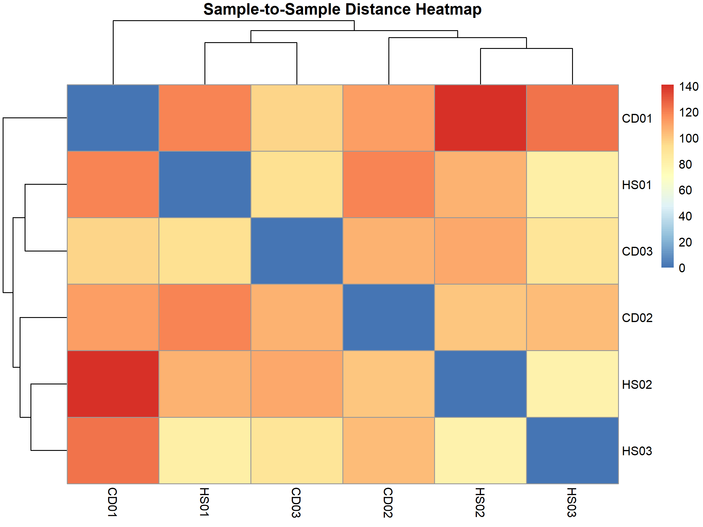 Sample to Sample Distance Heatmap