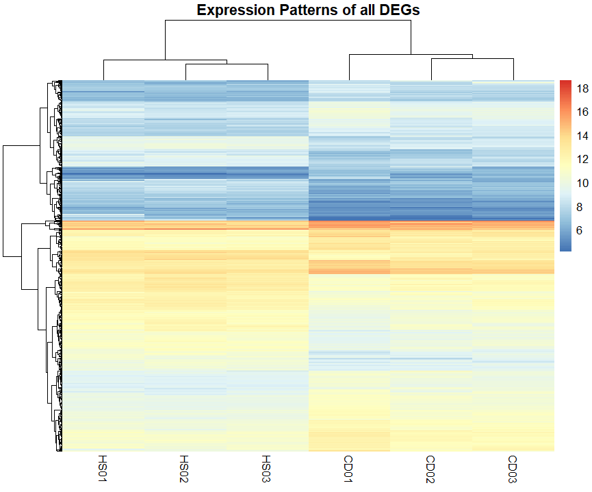 DEGs Heatmap