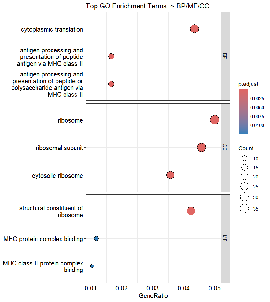 GO Enrichment Dot Plot