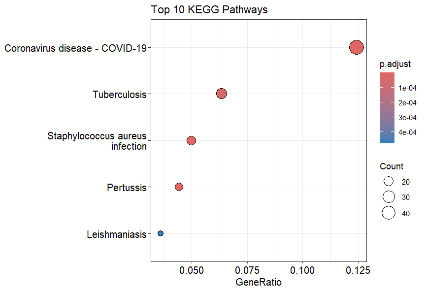 KEGG Enrichment Dot Plot