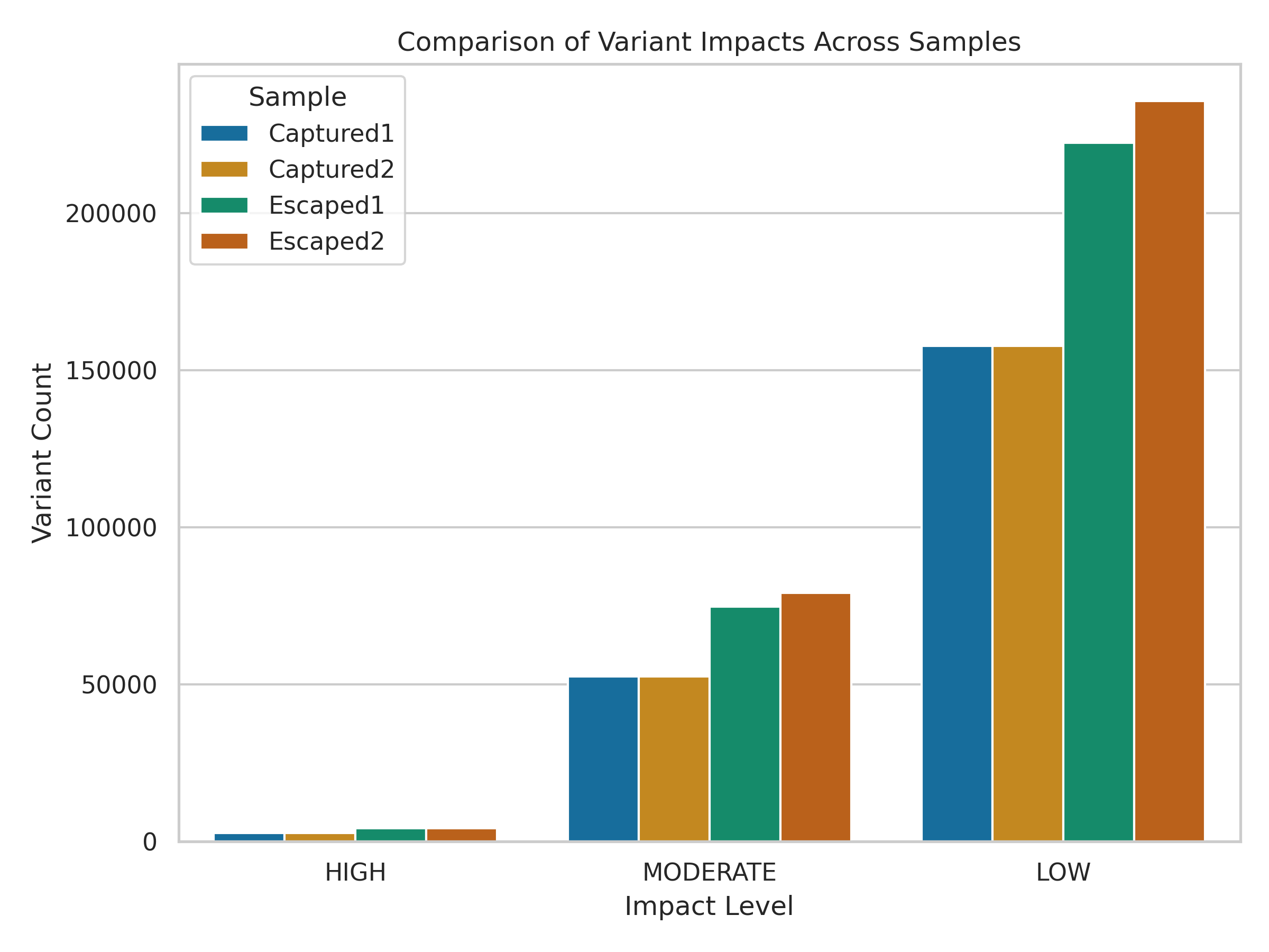 VEP Impact Summary